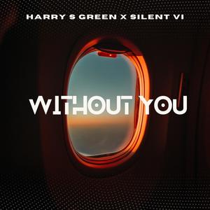 Without You (feat. Silent Vi)