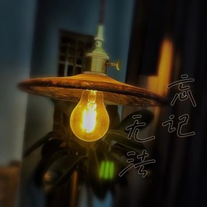 我无法忘记你 (伴奏)