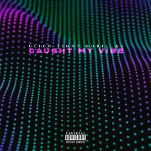 Caught My Vibe (Explicit)