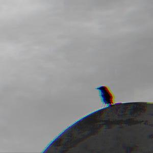 DONT FOLD (Explicit)