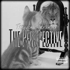 The Perspective (Explicit)