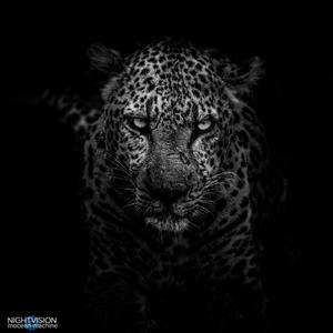 THE PATTERN (feat. glea$on)