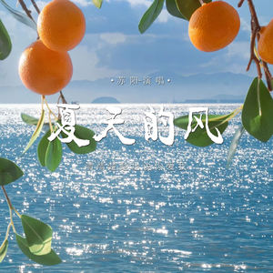 夏天的风 (清清楚楚地说你爱我)