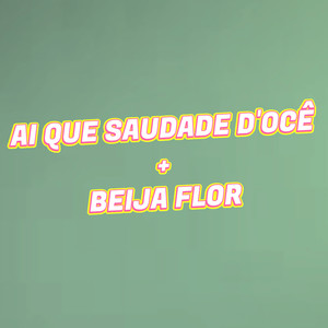 Ai Que Saudade D'ocê / Beija-Flor