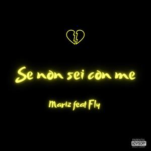 SE NON SEI CON ME (feat. Fly_4real) (Explicit)