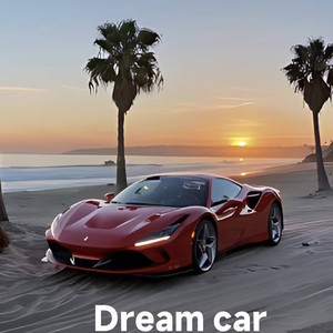 风可以越过荆棘