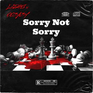 Sorry Not Sorry (Explicit)