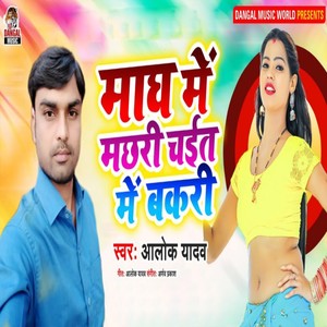 Magh Me Machhri Chait Me Bakri