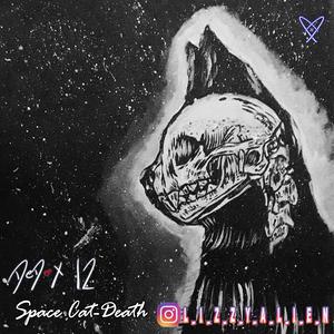 Space Cat-Death