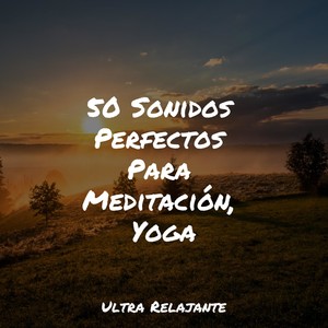 Relájate Por Dentro