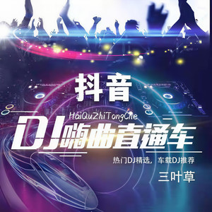 三叶草 - 听闻远方有你(DJ版)