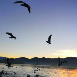 琴箫合奏《笑傲江湖曲》太极拳音乐加长版 (DJ长音频)封面