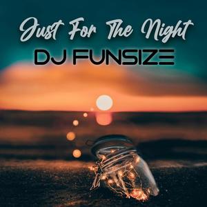 Just for the Night(feat. Grayson Ty)