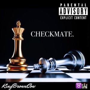 Checkmate. (Explicit)