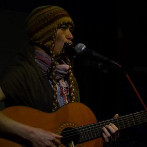 行走在路上的山林鸟儿