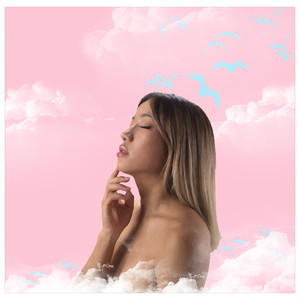 Los pajaros perdidos