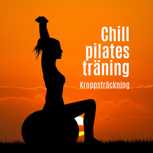 Chill pilates träning: Kroppsträckning, Stabilitet boll fitness