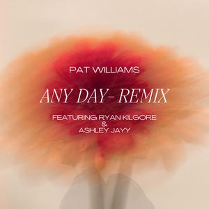 Any Day (feat. Ryan Kilgore & Ashley Jayy) (The Remix)