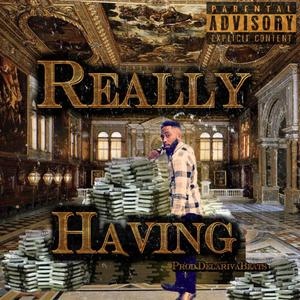 Really Having (Explicit)