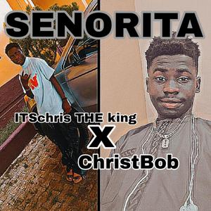 SENORITA (feat. Christbob) [Explicit]