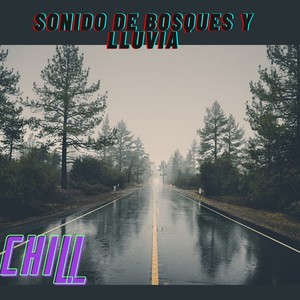 Sonido De Bosques Y Lluvia