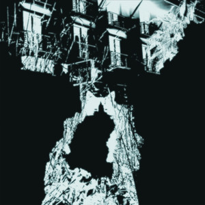 Loops From The Cat Sanctuary