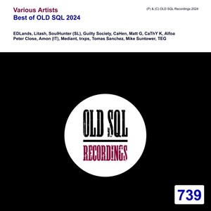 Meta Morphic (Original Mix)