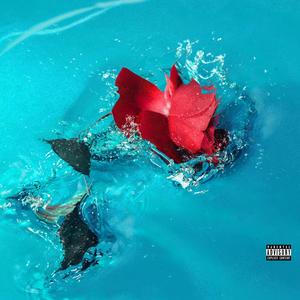 Black.Rose.Petal (Explicit)