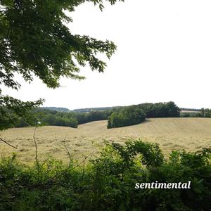 sentimental