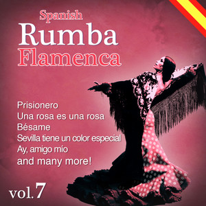 Spanish Rumba Flamenca Vol. 7