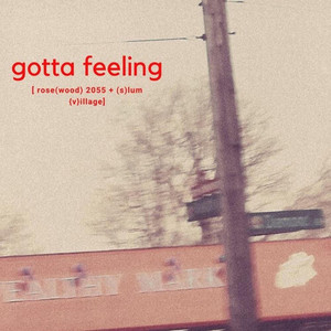 Gotta Feeling (Explicit)