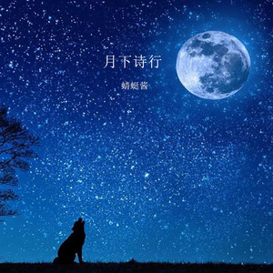痴情冢 (竹笛版) - 蜻蜓酱封面