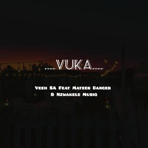 Vuka (feat. Mateer Danger & Nzwakele Musiq)