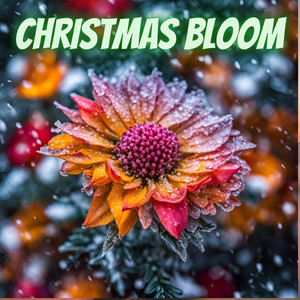 Christmas Bloom