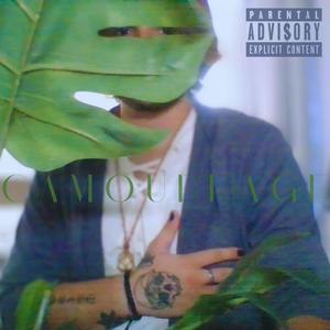 CAMOUFLAGE (Explicit)