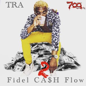 Fidel Cash Flow 2