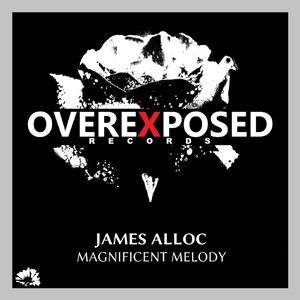 Magnificent Melody (Original Mix)