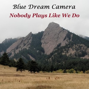 Nobody Plays Like We Do (feat. Rex Peoples & Tony Trahan)