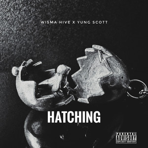 Hatching (Explicit)