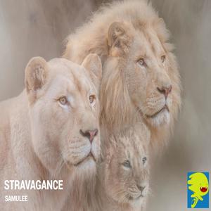 STRAVAGANCE