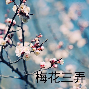 梅花三弄