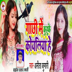 Gachhi Me Kuhuke Koyaliya He (Maithili)