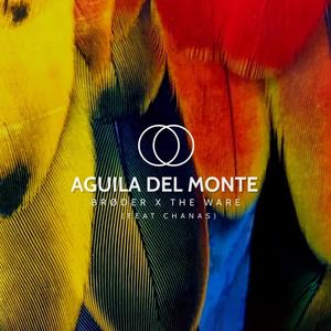 Aguila del monte (feat. Chanas)