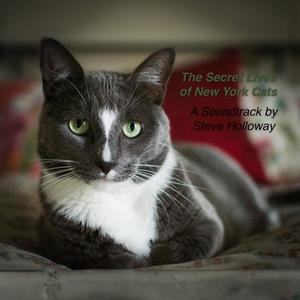 The Secret Lives of New York Cats (A Documentary Soundtrack by Steve Holloway)