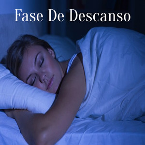 Fase De Descanso