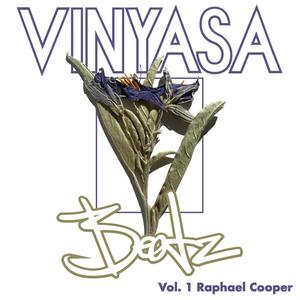 Vinyasa Beatz, Vol.1 Raphael Cooper