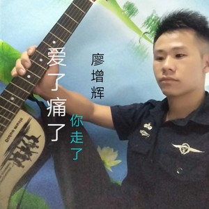 爱了痛了你走了