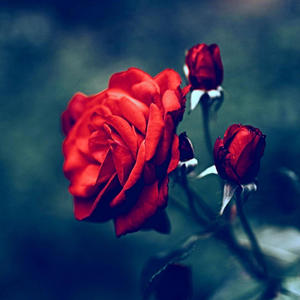 PRESO (feat. Nsyde2K) (Explicit)