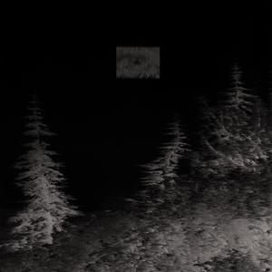 ok let's talk (Explicit)