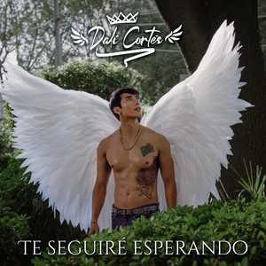 Te Seguiré Esperando (Circuit Remix)